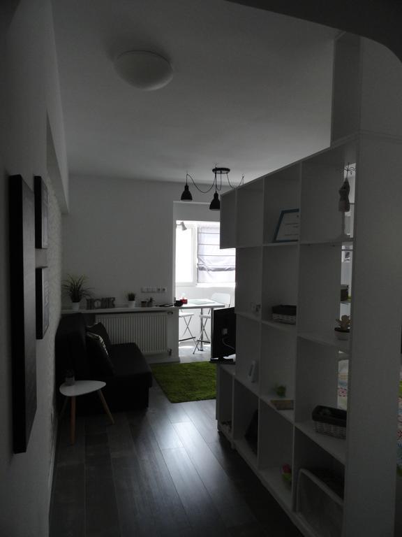 Cozy Central Studio بوخارست المظهر الخارجي الصورة