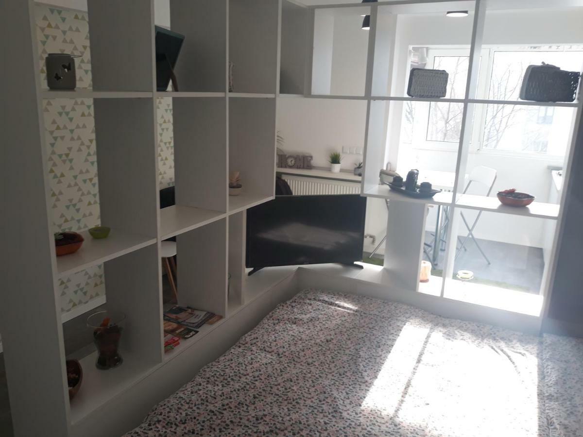 Cozy Central Studio بوخارست المظهر الخارجي الصورة